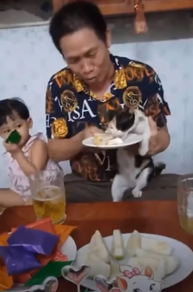 Thậm chí, trên chiếc bánh sinh nhật tặng thú cưng, dòng chữ đỏ nổi bật với nội dung: "Mừng sinh nhật cô Mèo" đã phần nào khẳng định được "vị thế" trong nhà.