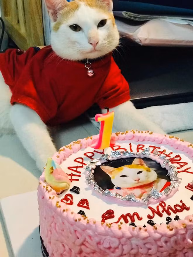 Tuy nhiên, cư dân mạng lại chú ý tới hành động đặc biệt của em bé ngồi bên cạnh.