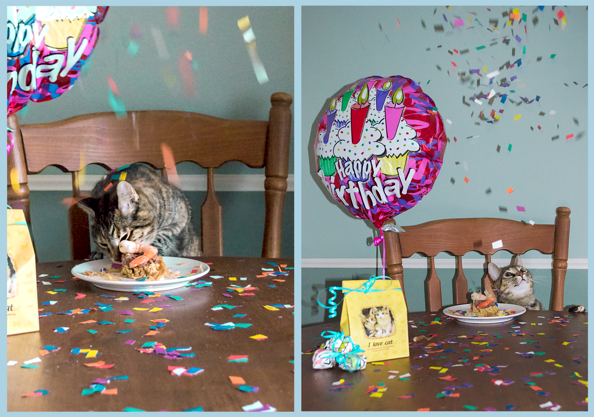 Bên cạnh đó cư dân mạng cũng tranh thủ khoe những buổi tiệc sinh nhật dành cho thú cưng của mình.