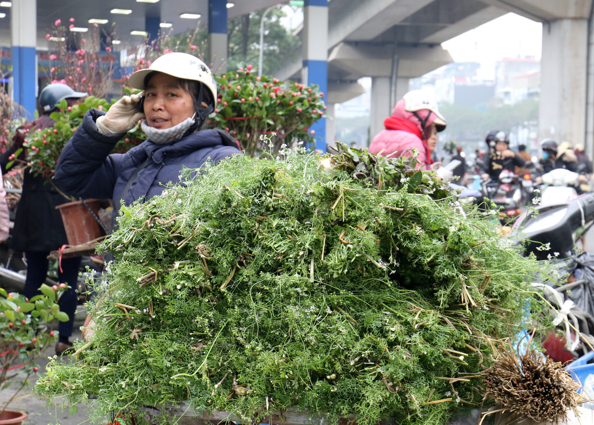 Chị Hà (Đông Anh - Hà Nội) tiểu thương kinh doanh lá mùi già cho biết, từ sáng đến giờ chị đã bán được 1 tạ lá mùi. Đấy là năm nay tình hình buôn bán chậm hơn, chứ như mọi năm mỗi ngày gia đình chị mang vào thành phố đến vài tạ hàng.