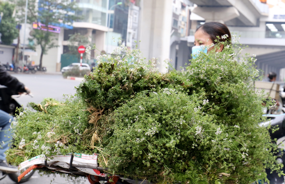 Theo quan niệm dân gian, tắm nước lá mùi già trong ngày cuối năm mang ý nghĩa tẩy những điều không sạch sẽ, xua tan những chuyện không hay để nghênh đón những điều may mắn trong năm mới.