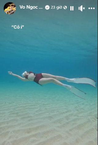 Võ Ngọc Trân rất đầu tư lựa chọn bikini đa dạng, hầu như ít khi thấy cô nàng mặc lại bộ nào 2 lần. N