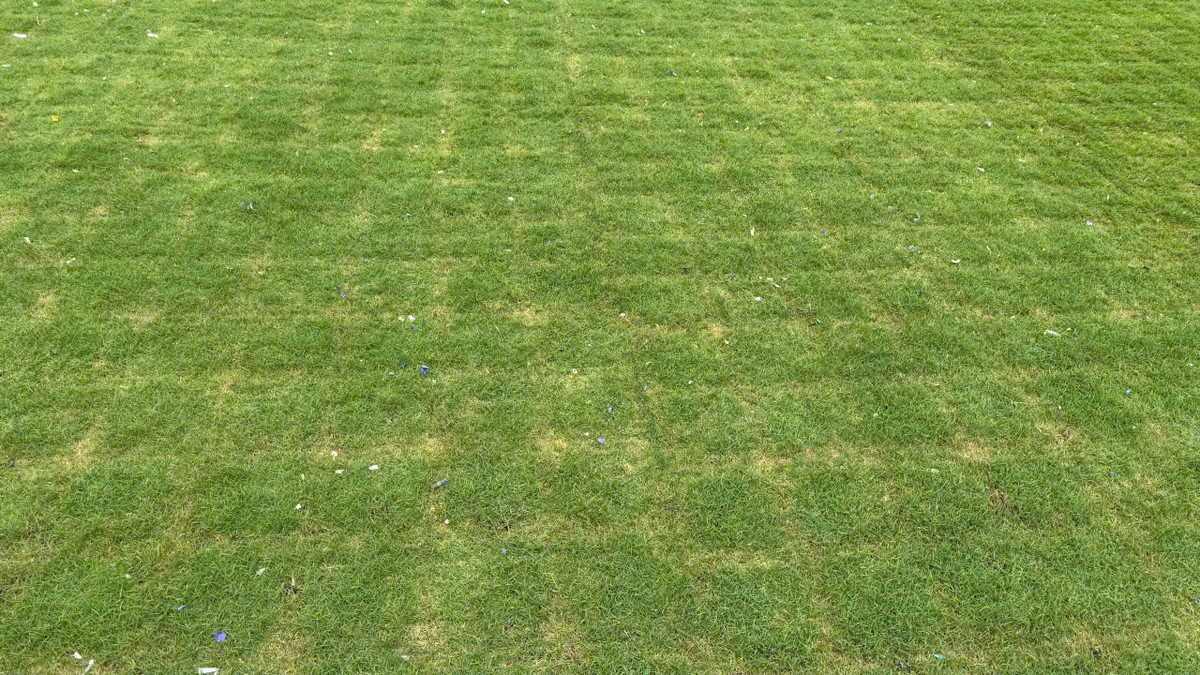 Liên quan tới đội tuyển Việt Nam, phía Liên đoàn bóng đá Việt Nam (VFF) để ngỏ khả năng thuê sân Mỹ Đình kể cả khi thầy trò huấn luyện viên Kim Sang-sik giành vé vào bán kết.