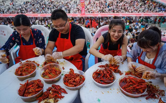 'Tham thi tham': Nuoi tom hum dat hau qua kho luong