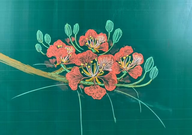 Nói về hoa phượng, thầy Du cho biết hoa phượng là một trong những kỷ niệm gắn liền với tuổi học trò và còn được gọi là "hoa học trò". Vì thế, thầy giáo trẻ này muốn chia sẻ với mọi người các bước vẽ hoa phượng với mong muốn hình ảnh hoa phượng được tái hiện lại trên bảng, giúp mọi người nhớ tới những kỷ niệm đẹp về hoa phượng, về mùa hè cuối năm.