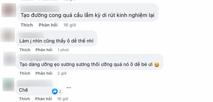 Vì những ồn ào trước đây nên antifan cảm thấy không "vừa mắt" với cách tạo dáng của Lương Mỹ Kỳ.