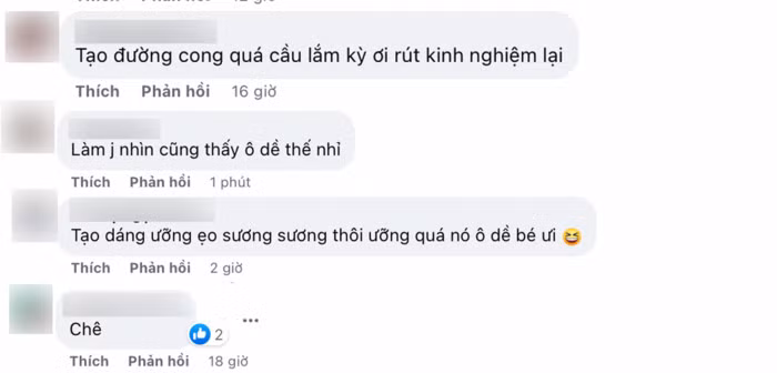 Vì những ồn ào trước đây nên antifan cảm thấy không "vừa mắt" với cách tạo dáng của Lương Mỹ Kỳ.