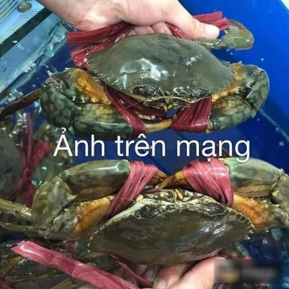 Người mua hỏi: "Các bác cho em hỏi xíu. Kiến thức về hải sản của em hơi kém. Không ấy các bác nào rành cho em hỏi là cua để 1 tiếng không hấp ngay là thịt biến mất hết không còn dấu vết hay sao ạ? Em mua cua của 1 bạn đăng trên nhóm. Ảnh thì thế kia mà nhận được thì bé bằng 4 ngón tay. Thôi thì em vẫn nhận, bỏ qua vấn đề bé vì thấy bạn ý bảo bao óp, em nhận và hỏi nếu óp thì như thế nào. Bạn ý bảo óp, em chuyển khoản lại....