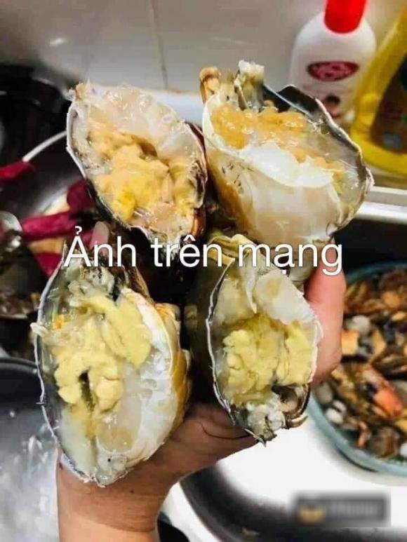 Và sau khi hấp bóc ra con cua của em có mỗi cái vỏ không. Em thấy lạ quá hỏi thì bạn ý trả lời là nó tự tan. Cho em hỏi có bác nào nhận được cua nhà bạn này xong cũng giống em không? Post lên để mọi người cân nhắc mua cua của bạn này xong không được để đó, phải hấp ngay. Không là 1 tiếng sau thịt biến mất nhé". Chủ nhân bài viết có nói thêm.