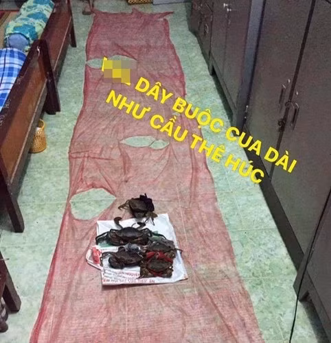 Trước đó, hình ảnh mua cua nhưng dây buộc dài như tấm áo mưa khiến nhiều người chú ý.