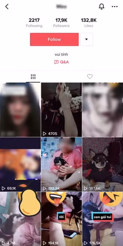 Được biết, nữ TikToker sở hữu tài khoản TikTok gần 20.000 lượt follow. Đáng chú ý trang TikTok của cô không chỉ có duy nhất một clip "đá lưỡi" với chó gây "chấn động" như vậy mà còn khá nhiều clip khác mang nội dung tương tự.