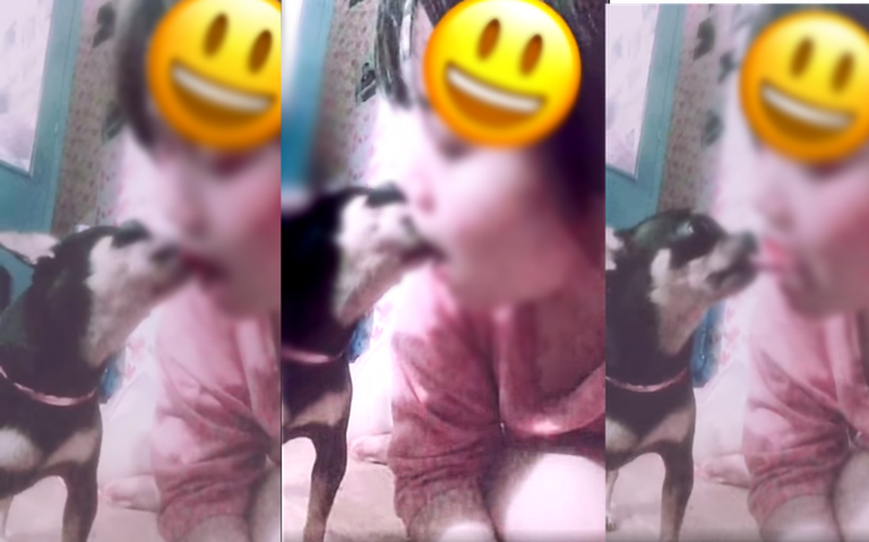 Mới đây, cộng đồng mạng không khỏi bất ngờ khi xem đoạn clip TikTok của một cô gái. Cụ thể, cô gái này đã có hành vi hôn lưỡi cùng một chú chó. Video kéo dài hơn 15 giây khiến người xem không thể tưởng tượng nổi chuyện gì đang xảy ra.