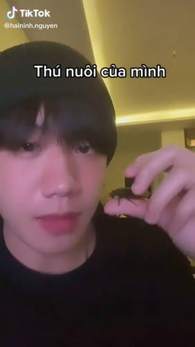 Cụ thể, trong một video TikTok, Hải Ninh đã khoe cho mọi người sở thích của mình với những con gián.