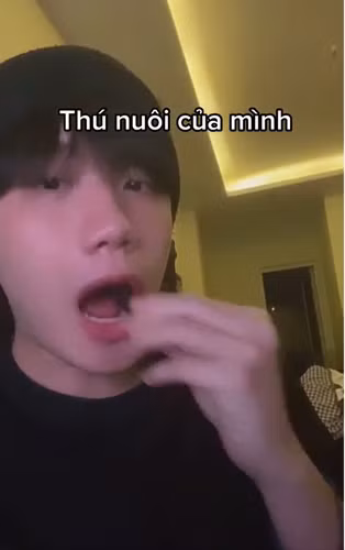 Đặc biệt, ở cuối video, Hải Ninh còn tỉnh bơ cho một con gián vào miệng khiến nhiều người kinh sợ.