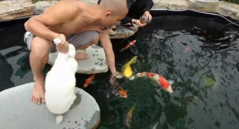 Trong video trước đó, biệt thự của Mao Đệ được hé lộ nhiều không gian rất rộng rãi như phòng khách, phòng ngủ có giường hình xe ô tô, bên ngoài nhà có một trang trại nuôi gà.