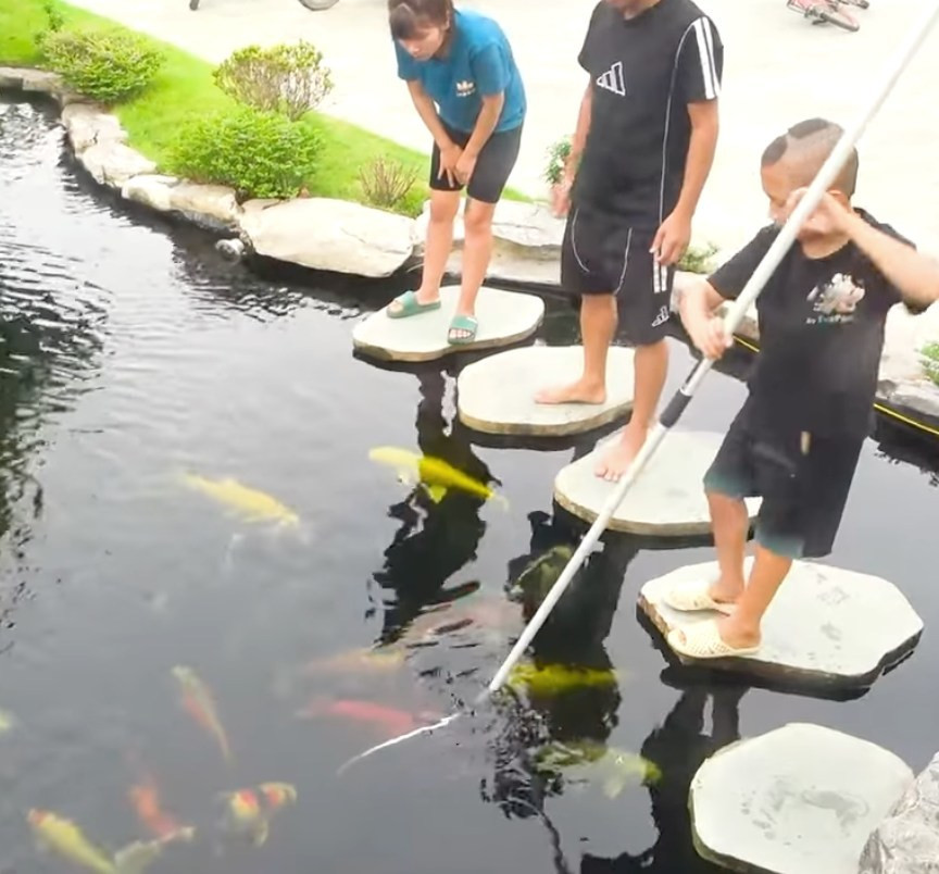 Rất nhiều chú cá Koi với đủ màu sắc sặc sỡ được nuôi trong không gian rộng của hồ cá. Nhiều chi tiết tiểu cảnh đắt tiền được dựng lên nhằm tạo cảnh quan đẹp mắt.