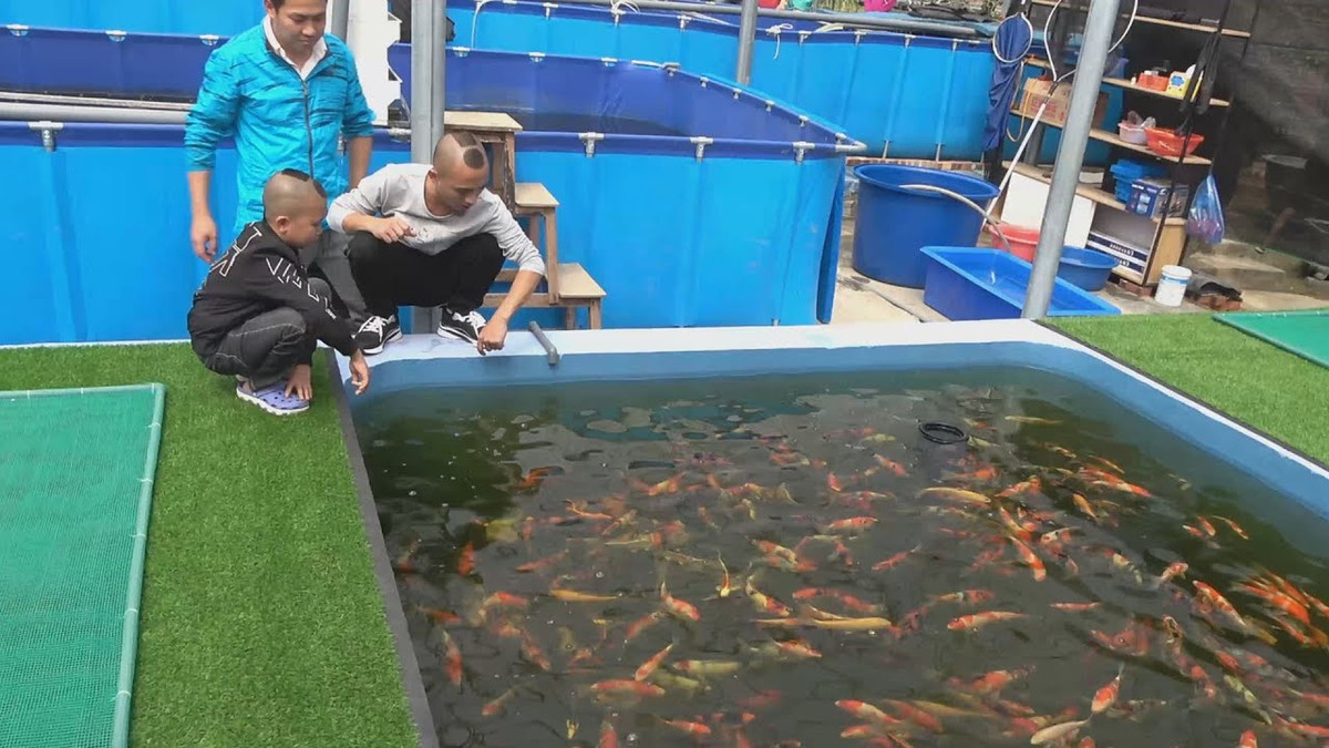 Diện tích nhà khoảng 300m2, sở hữu 4 phòng ngủ và 1 tầng áp mái, chi phí xây dựng lên tới 2,5 tỷ đồng. Nội thất trong nhà đều được mua sắm mẫu mã hiện đại.