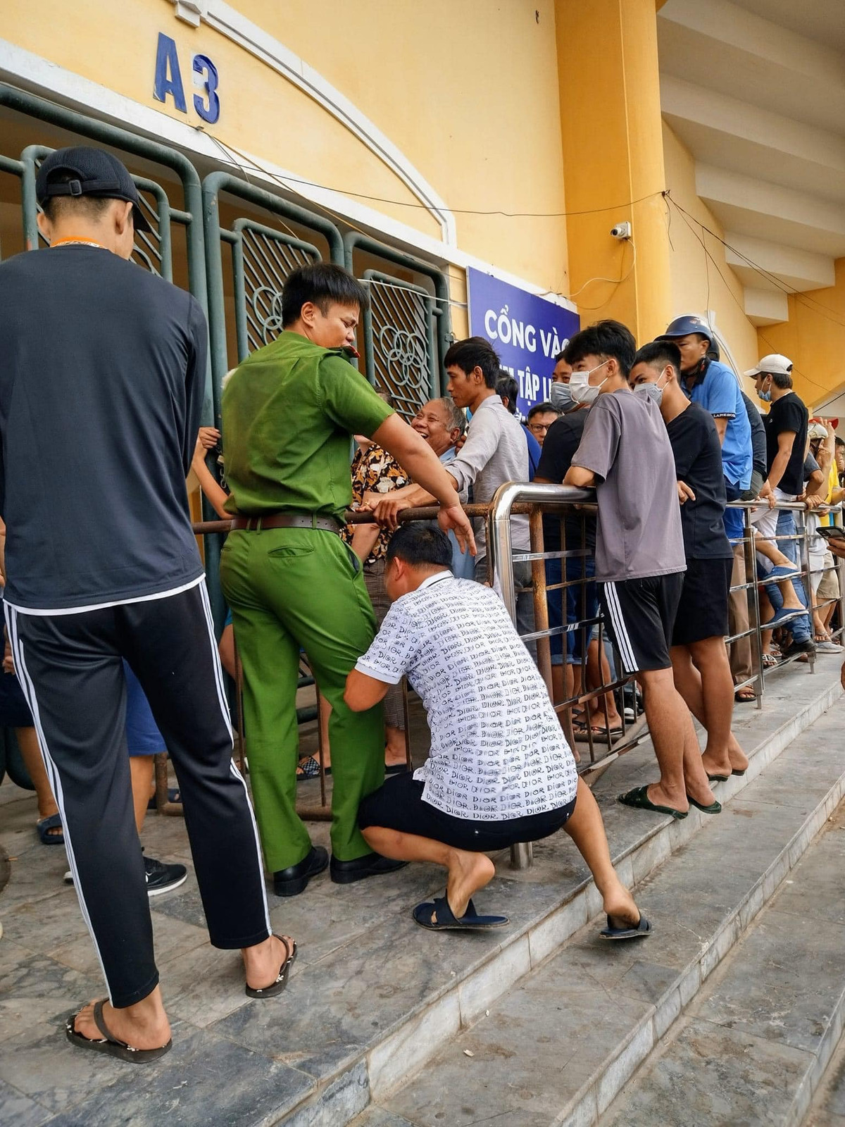 Nhiều người hâm mộ tỏ ra vô cùng hào hứng khi sở hữu những tấm vé trên tay.