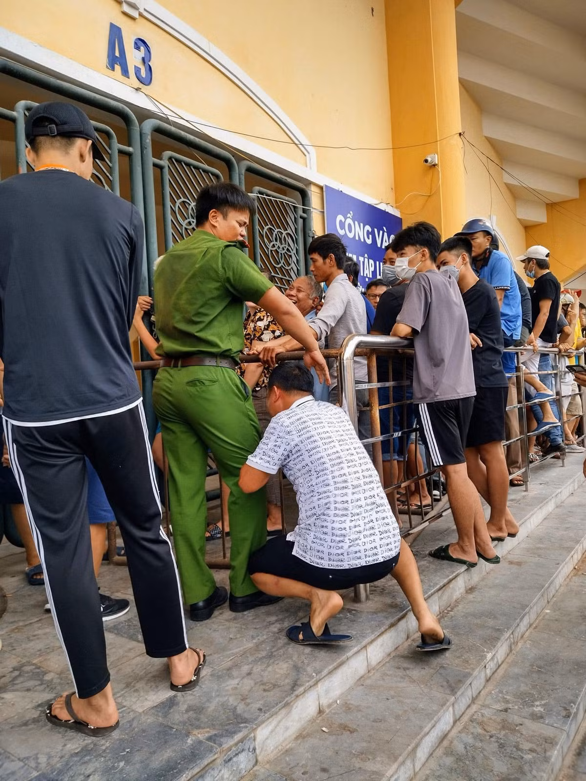 Nhiều người hâm mộ tỏ ra vô cùng hào hứng khi sở hữu những tấm vé trên tay.