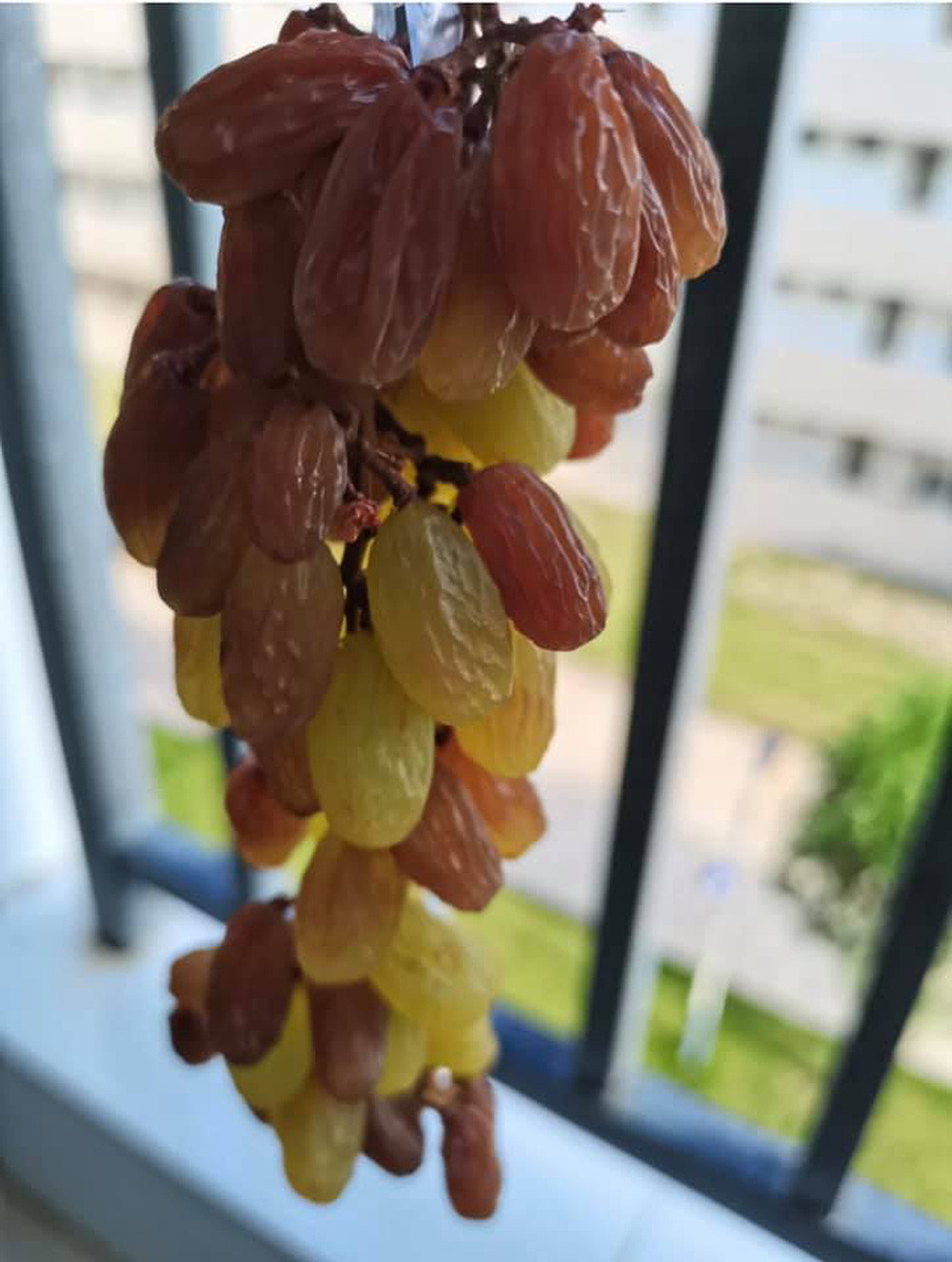 Cụ thể, thành viên này có viết: "Tuần trước tôi đã mua rất nhiều nho mà lỡ tay mua quá nhiều đến nỗi tủ lạnh không còn chỗ để giữ chúng tươi. Khi trời nắng to, ý tưởng làm nho khô nảy ra nên tôi hí hửng làm với tâm trạng vui vẻ".