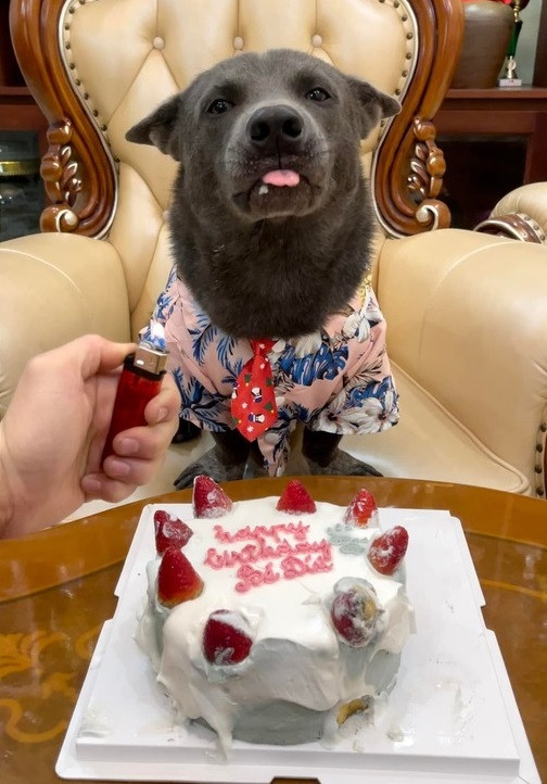 Xuất hiện trong ảnh, idol Dúi ăn diện hết sức bảnh bao với sơ mi hoa lá cành cùng cà vạt đỏ vô cùng chỉn chu.