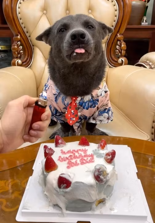 Xuất hiện trong ảnh, idol Dúi ăn diện hết sức bảnh bao với sơ mi hoa lá cành cùng cà vạt đỏ vô cùng chỉn chu.