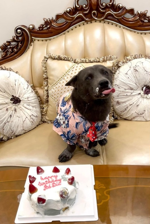 Hết ngáp ngắn, ngáp dài, Dúi lại cười “đểu” nhếch mép hay mắt liếc ngang, liếc dọc tỏ rõ vẻ “khinh đời”.