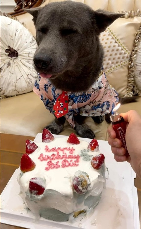 Không biết có phải “bất mãn” gì trong khâu tổ chức hay không mà vẻ mặt của Nguyễn Văn Dúi lại có phần khá thờ ơ, “chảnh cún”.