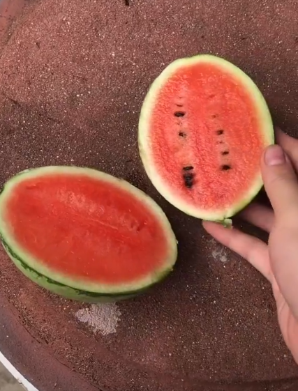 Cũng có ý kiến cho rằng quả dưa này nhỏ nhưng có ruột đỏ như trên là chuyện bình thường tuy nhiên đó chỉ là số ít.