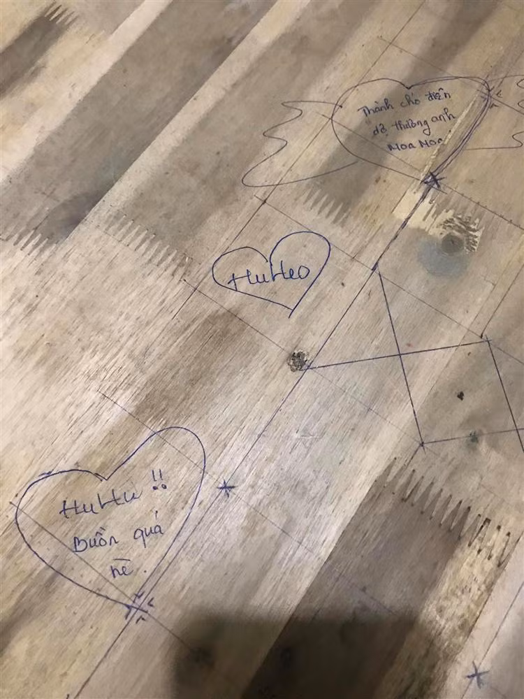 Xuất hiện trên mạng xã hội không lâu, câu chuyện trên đã thu hút sự quan tâm đông đảo từ cộng đồng mạng.