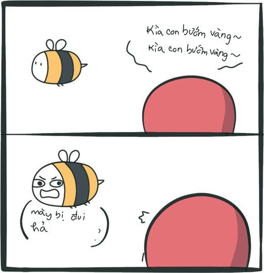 Khi chị ong nâu bị nhầm với bướm vàng và thái độ cực gắt.