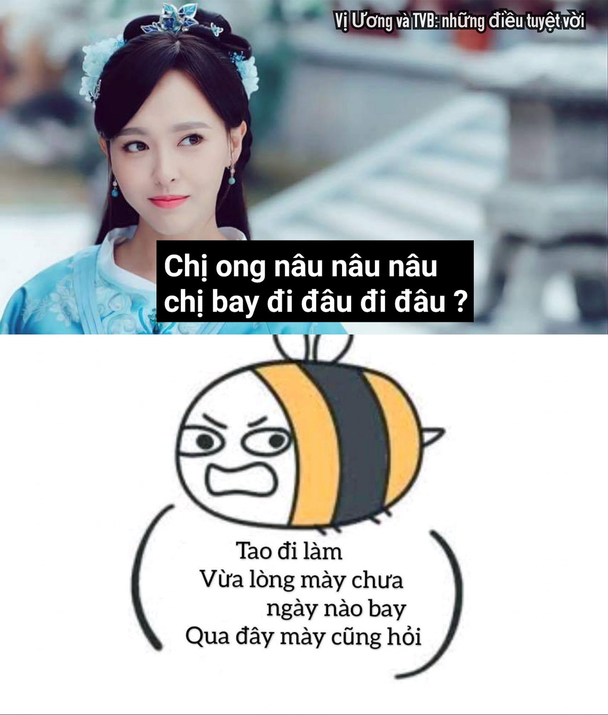 Bị hỏi đi đâu "1001" lần, chị ong nâu đã có câu trả lời.