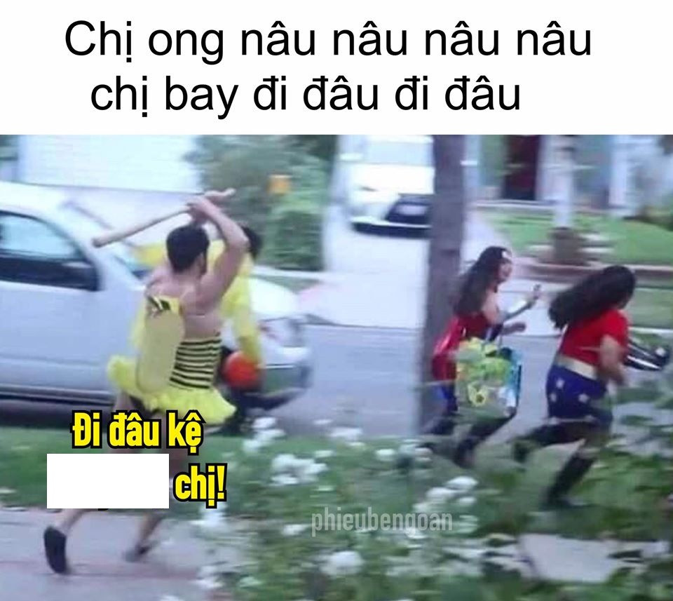 Vô vàn những bức ảnh chế chị ong nâu được dân mạng được ra lò và câu hỏi chị bay đi đâu, đi đâu đã có câu trả lời.