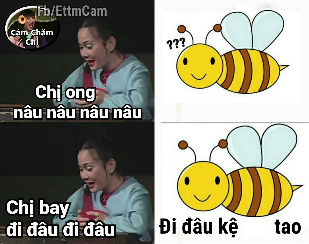 Không chỉ gây ám ảnh từ những giai điệu, chị ong nâu còn xâm chiếm cõi mạng bằng những bức ảnh chế được dân mạng nhanh tay cho ra lò.