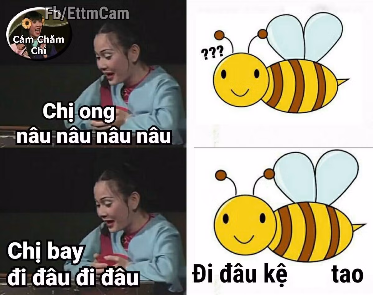 Không chỉ gây ám ảnh từ những giai điệu, chị ong nâu còn xâm chiếm cõi mạng bằng những bức ảnh chế được dân mạng nhanh tay cho ra lò.