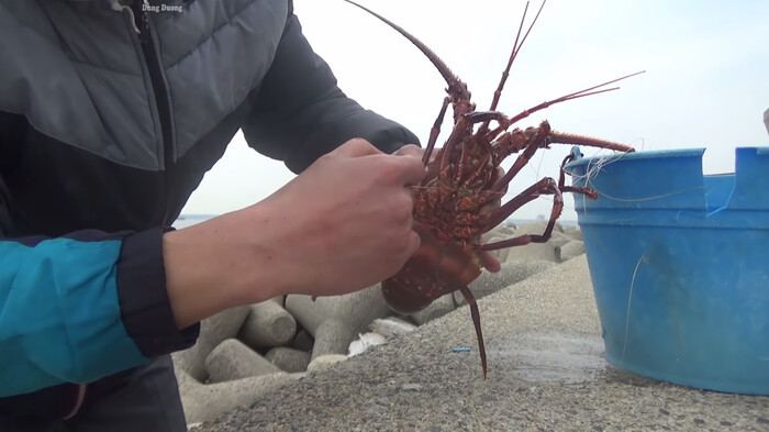 YouTuber Viet Nam bi len an du doi vi loat clip san bat hai san o Nhat Ban