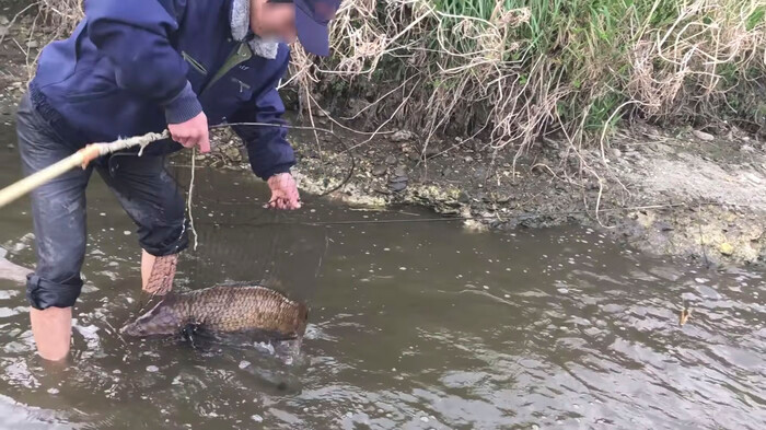 YouTuber Viet Nam bi len an du doi vi loat clip san bat hai san o Nhat Ban-Hinh-6