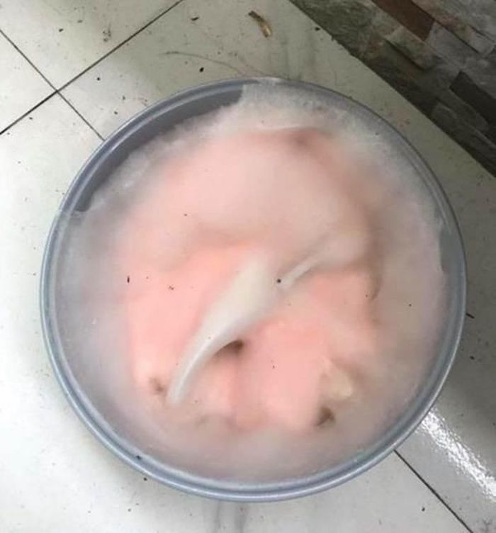 Nồi cơm điện có vẻ như là thứ rất nhiều người quên dọn dẹp trước khi về quê ăn Tết.