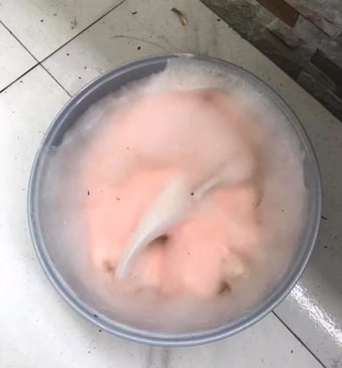 Nồi cơm điện có vẻ như là thứ rất nhiều người quên dọn dẹp trước khi về quê ăn Tết.