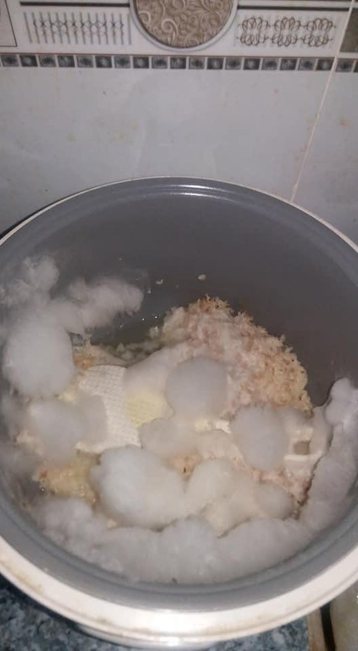 Trước khi về quê, nhiều bạn trẻ đã vô tình để căn phòng bừa bãi thế nên giờ đây phải nhận những hậu quả cho phút giây ấy: nồi cơm điện nấm mốc phủ đầy, phòng ốc ẩm thấp, hôi hám, nền nhà mọc cây, dây leo quấn quanh dây mạng,..