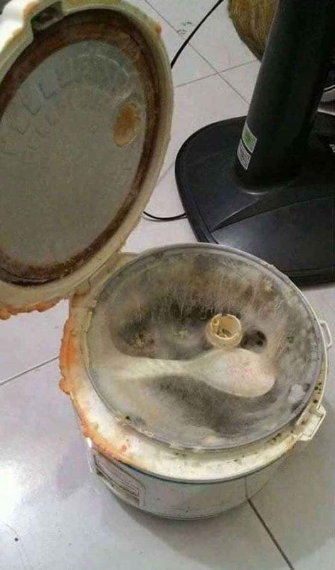 Đây không phải là câu chuyện của riêng ai, rất đông bạn trẻ đã chia sẻ nhiều hình ảnh khó đỡ về những chiếc nồi bốc mùi của mình.