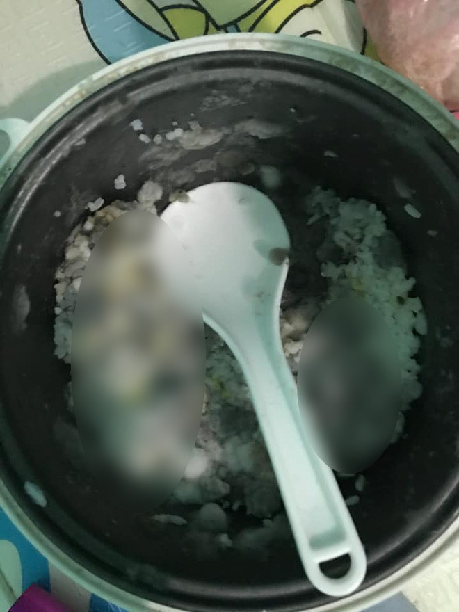 Bởi lẽ trước khi về, nhiều bạn trẻ đã vô tình để phòng ốc bừa bãi và giờ đây phải lĩnh nhận những hậu quả không tưởng: dây leo quấn quanh dây mạng, nền nhà mọc cây, nồi cơm điện nấm mốc phủ đầy, phòng ốc ẩm thấp, hôi hám…