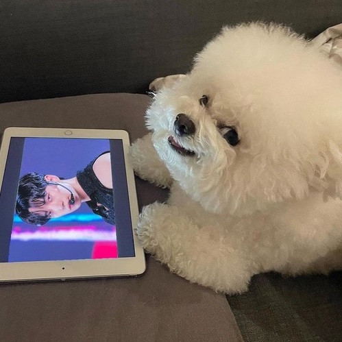 Nhưng không phải lúc nào Arang cũng cho thấy vẻ ngoài hớn hở của mình. Lúc nào không vừa ý thì cô chó cũng sẵn sàng tỏ ra hung dữ, “đe dọa” chủ nhân.