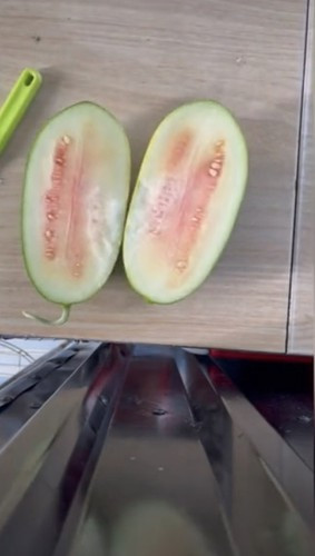 Tự trồng dưa hấu vệ đường, sợ mọi người phát hiện ra anh chàng đã nhanh chóng thu hoạch rồi tự về nhà bổ ra hưởng thụ, ai ngờ thứ bên trong khiến ai cũng phải ngã ngửa.