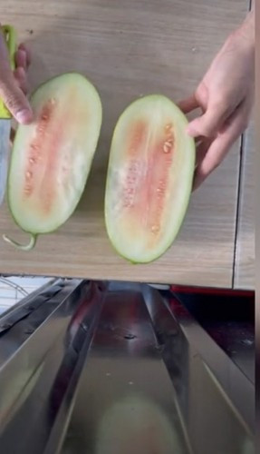 Trước đó, dân mạng từng không ít lần chứng kiến những màn thu hoạch dưa hấu mini nhưng không phải ai cũng được may mắn có phần ruột đỏ và ngon.