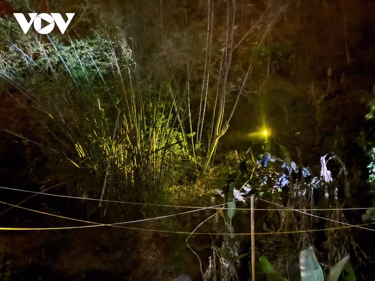 Khu vực xảy ra cháy là rừng tre, lau, lách, bên dưới là thảm thực vật dễ cháy.