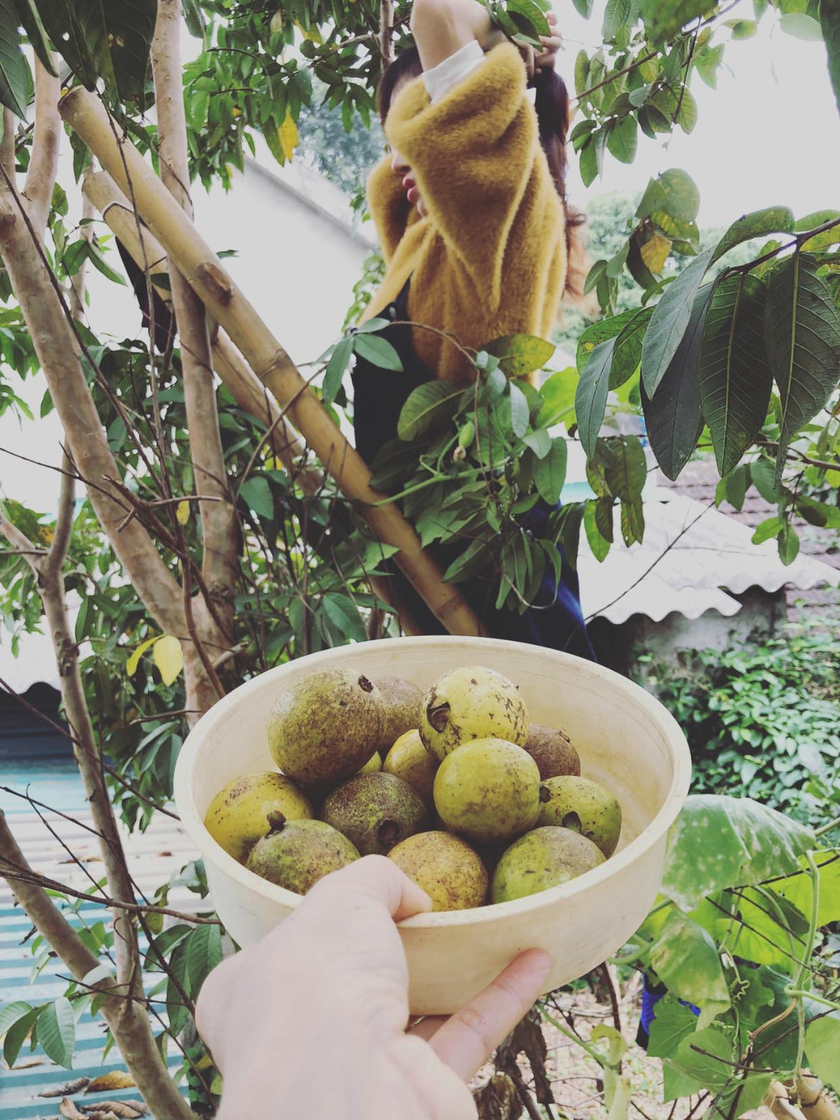 Mới đây, có thể do dịch bệnh COVID-19 mà Bà Tưng đã về quê nhà ở Nghệ An để ăn Tết sớm.