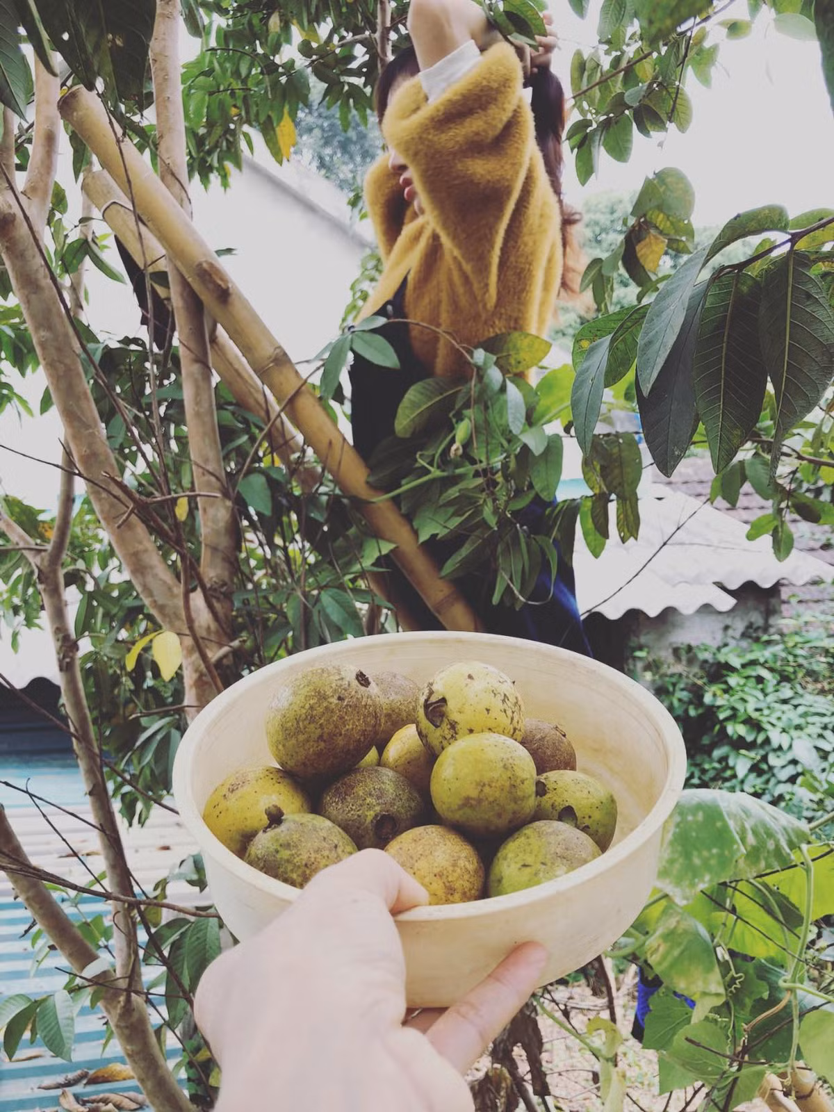 Mới đây, có thể do dịch bệnh COVID-19 mà Bà Tưng đã về quê nhà ở Nghệ An để ăn Tết sớm.