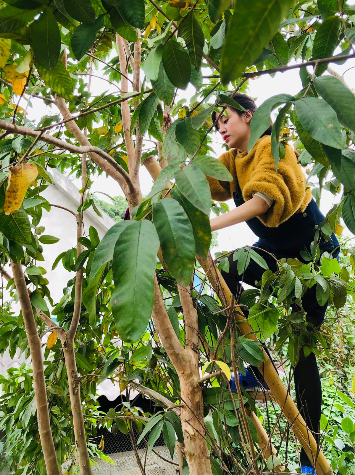 Có thể thấy trong thời gian qua, hot girl thị phi một thời đã có một cuộc 'cải cách' bản thân để mọi người có cái nhìn thiện cảm hơn về mình.