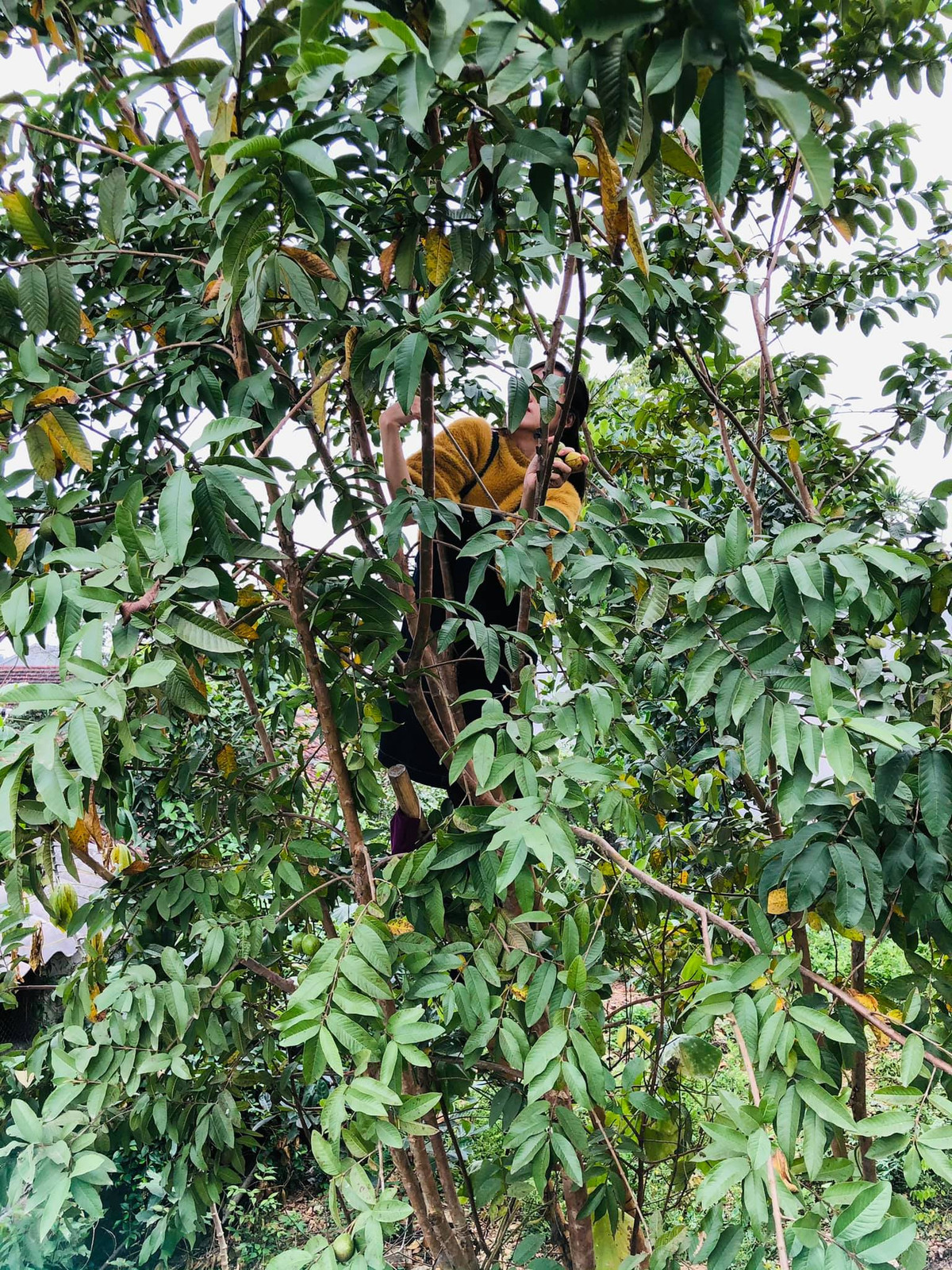 Nhìn vào những bức ảnh này, có lẽ không ít người ngạc nhiên khi Bà Tưng thay đổi nhiều như vậy.